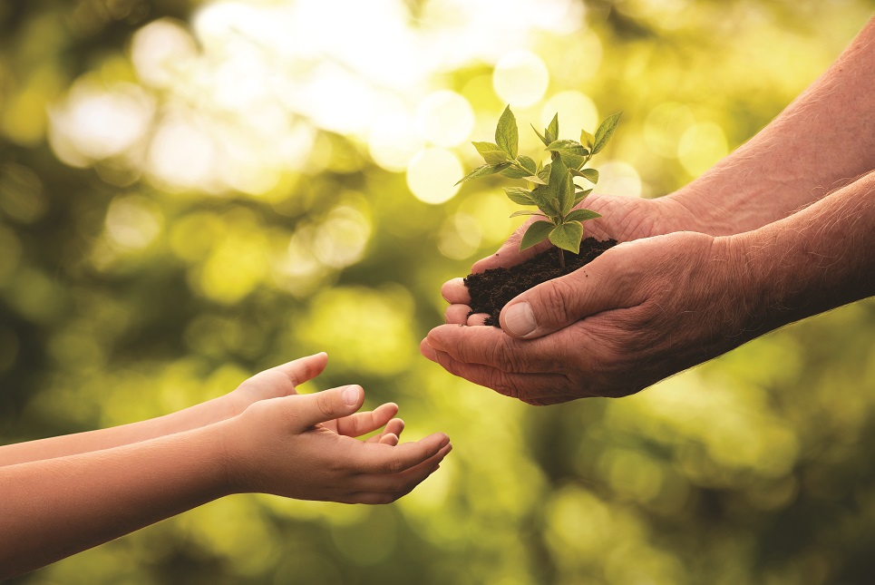 A simpler way of giving Tax Adviser A simpler way of giving Tax Adviser