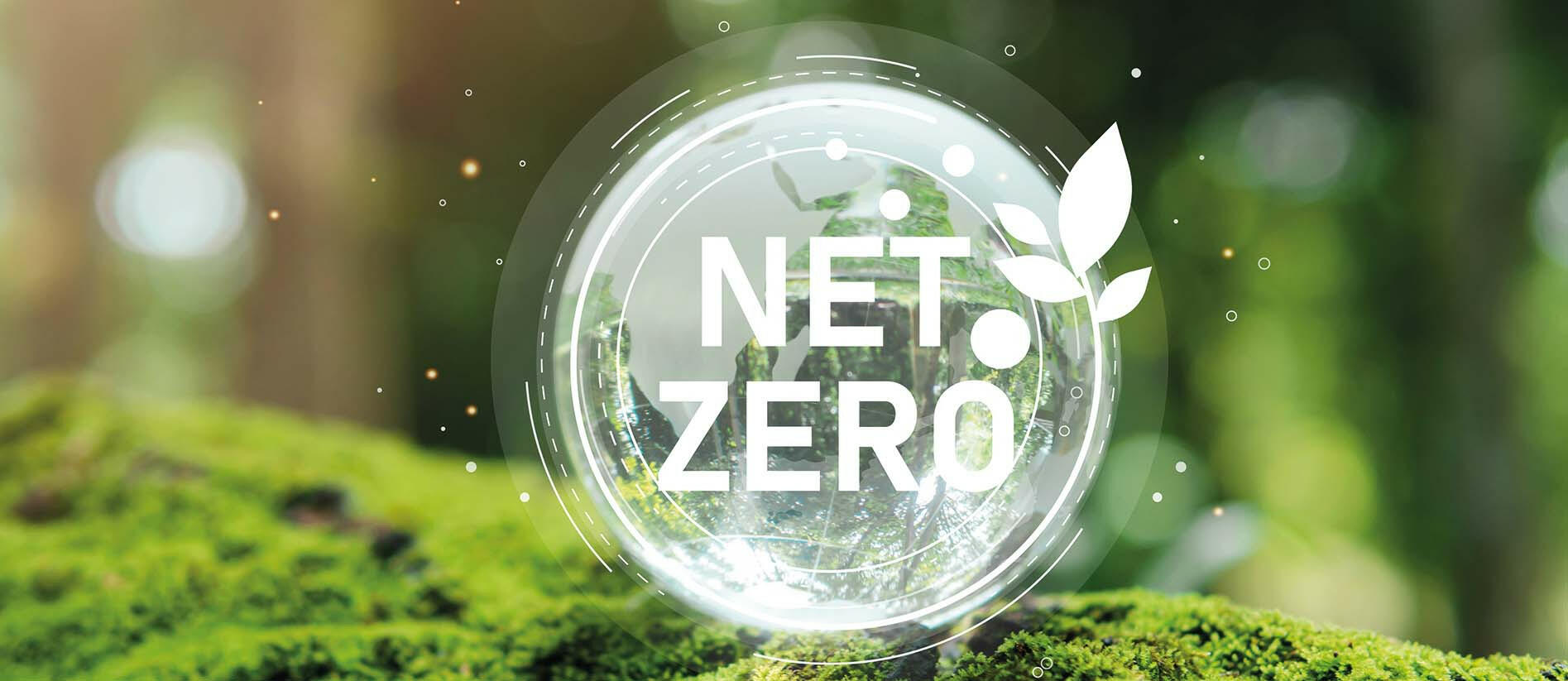 Tax policy options: achieving net zero commitments