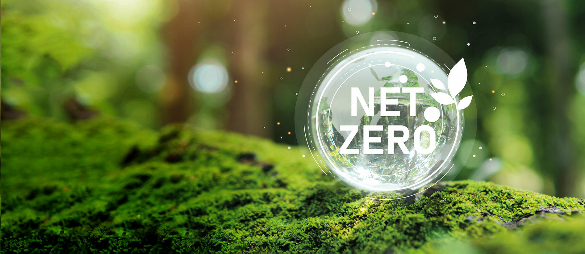 Tax policy options: achieving net zero commitments