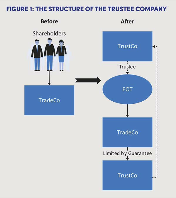 The Structure of the Trustee Company
