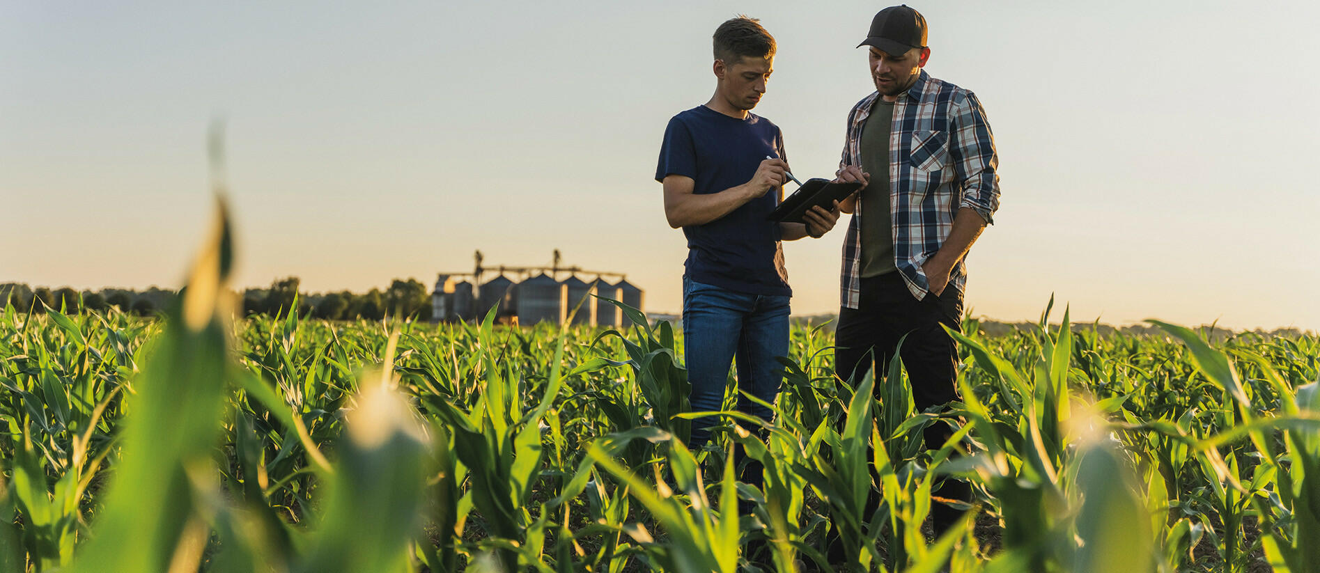 Habitat banking: R&D relief for farmers and landowners