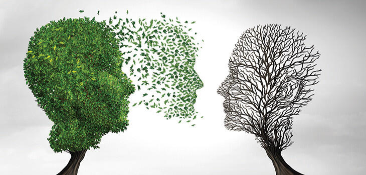 Mentoring and wellbeing: a powerful connection