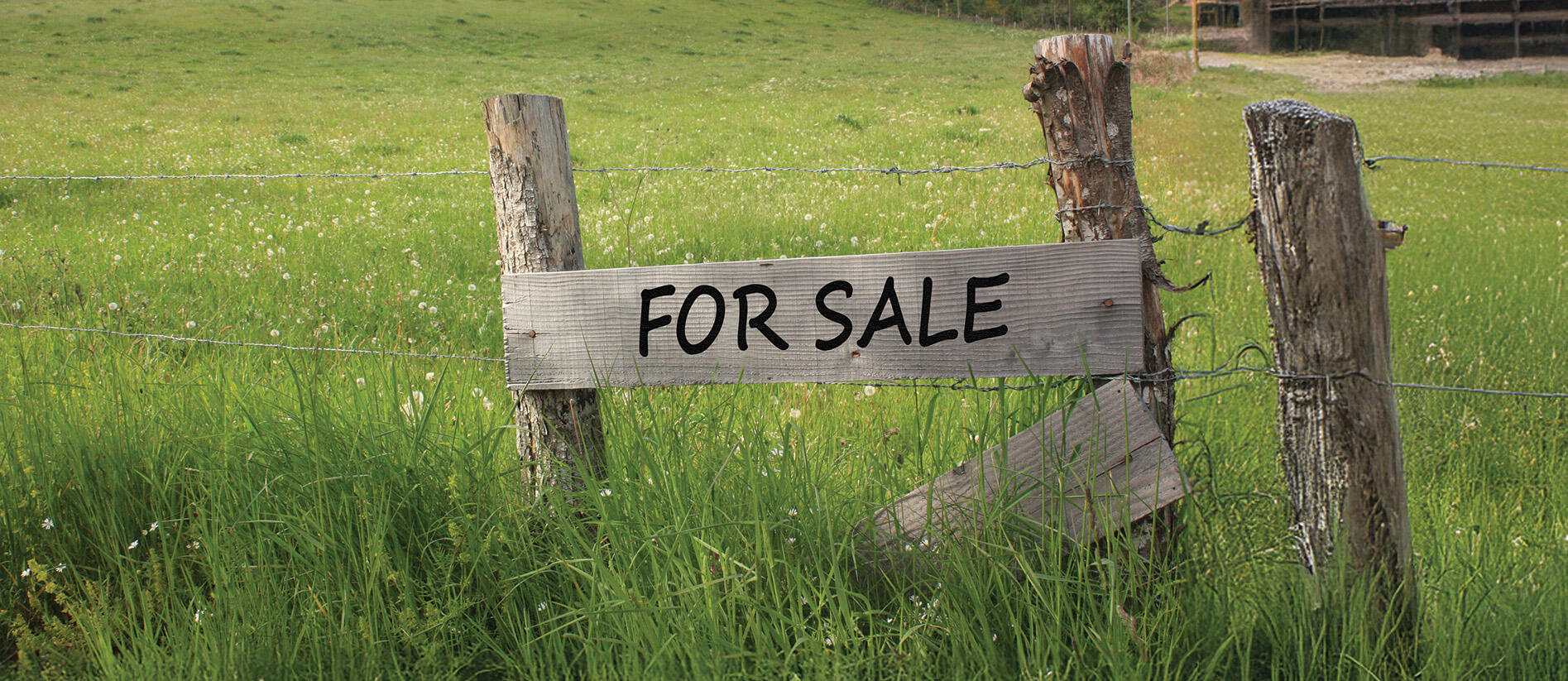 Farm survival: managing disposals and development