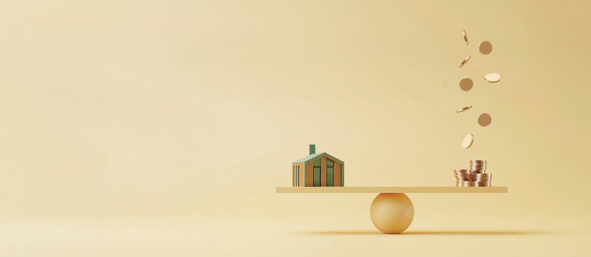 The Capital Goods Scheme