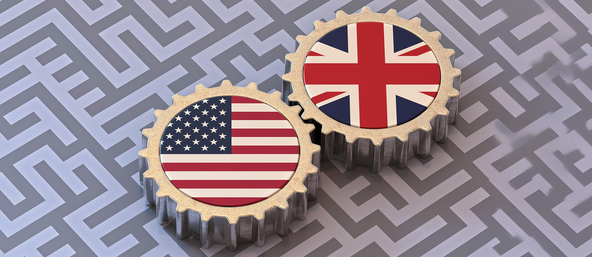 US limited liability companies: caught between two systems