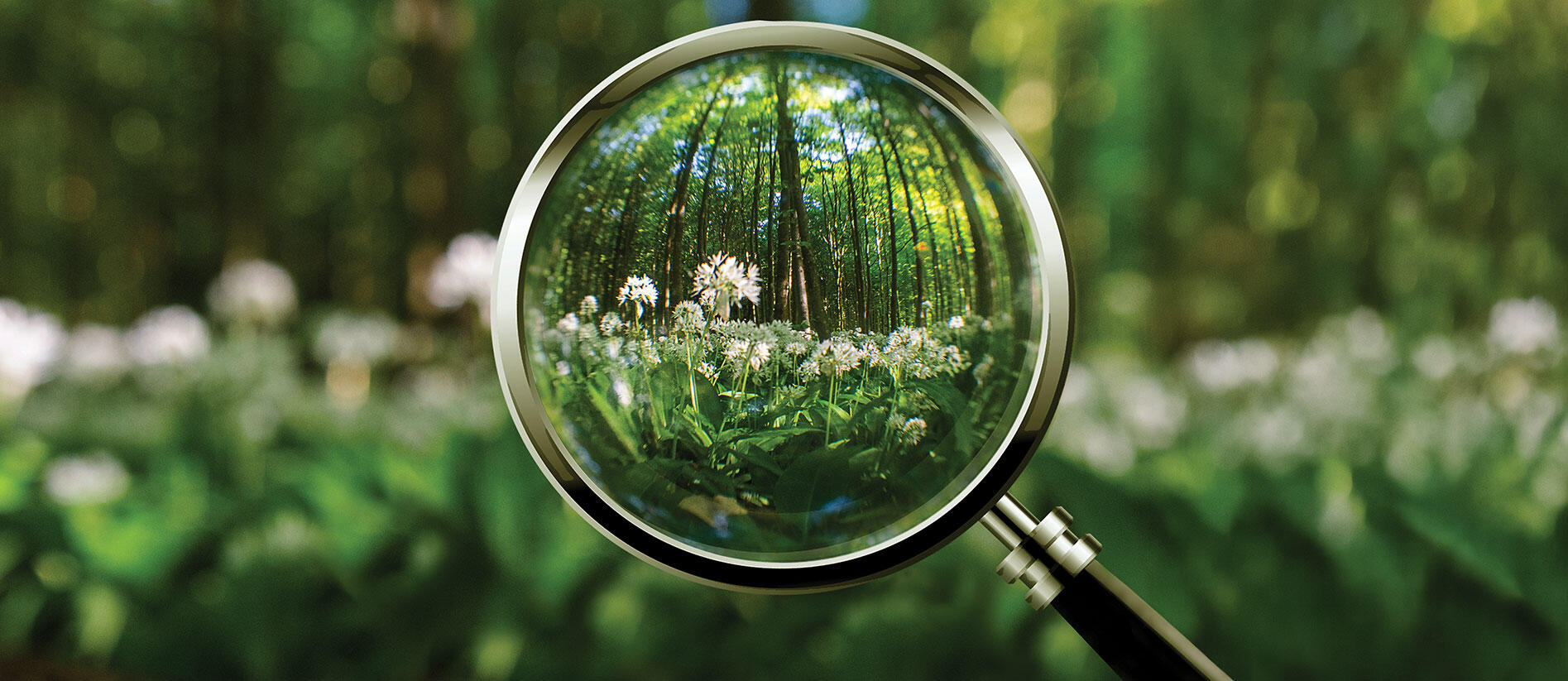 Natural capital: new value, new tax questions