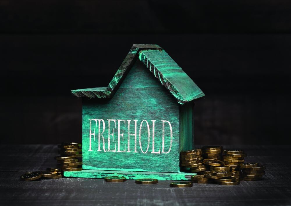 A Share In The Freehold Tax Adviser a-share-in-the-freehold-tax-adviser
