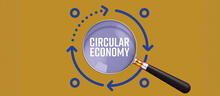 Circular economy and taxation: the implications for tax policy