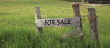 Farm survival: managing disposals and development