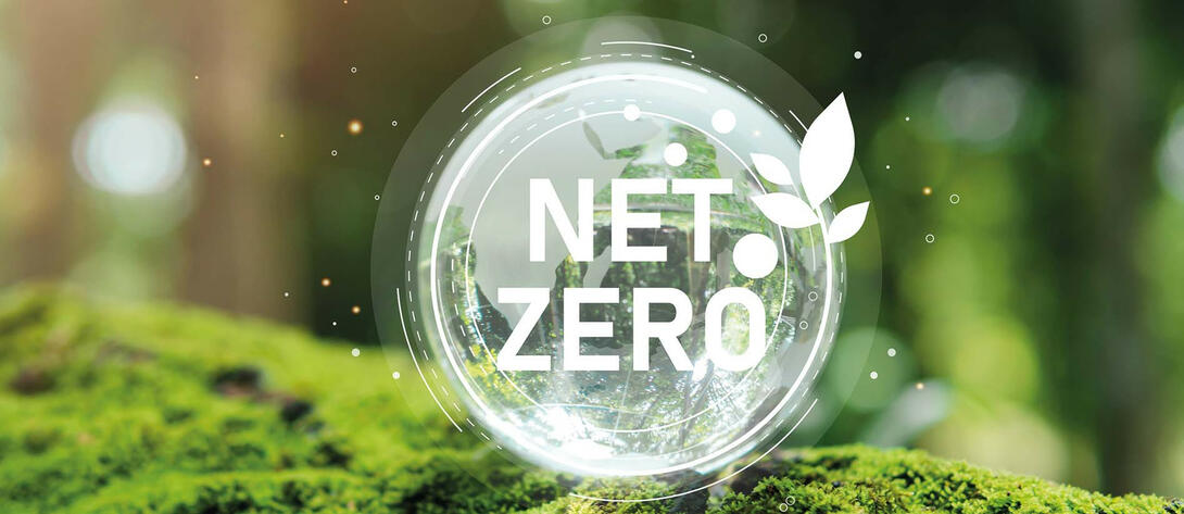 Tax policy options: achieving net zero commitments